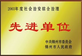 2003年度市社会治理先进单位