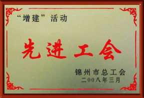2008年市“增建”先进工会